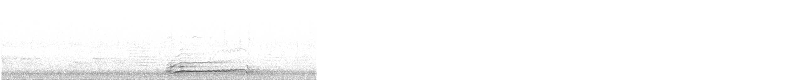 Coyote - ML646568854