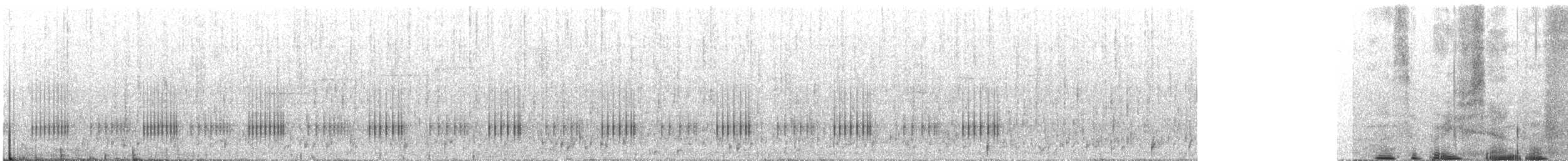 חסרי זנב - ML646569084