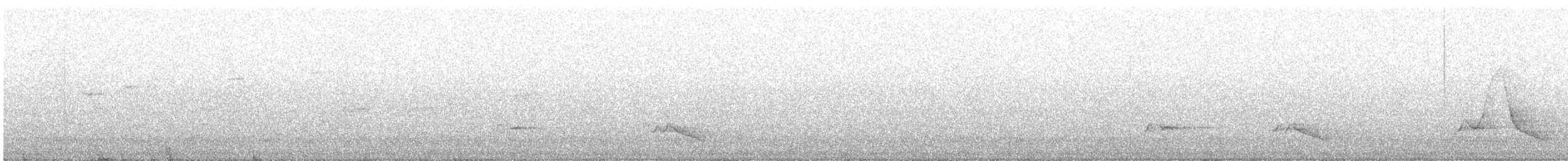 Black-faced Monarch - ML646569092