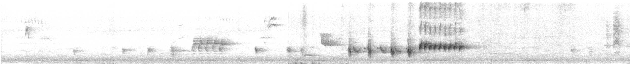 Очеретянка австралійська - ML646569101