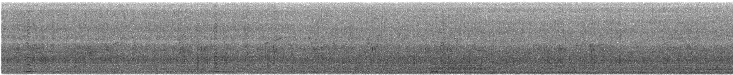 Red-knobbed Coot - ML646569262