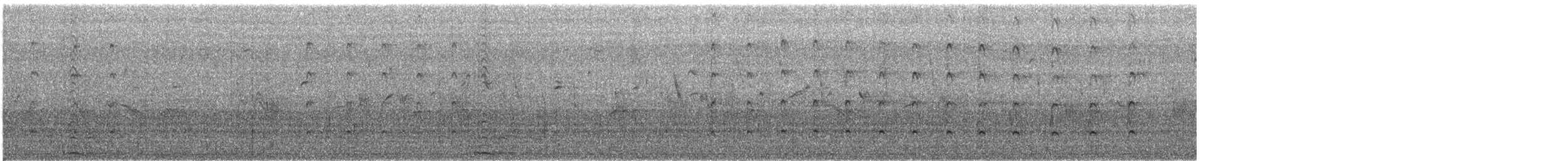 Blacksmith Lapwing - ML646569267