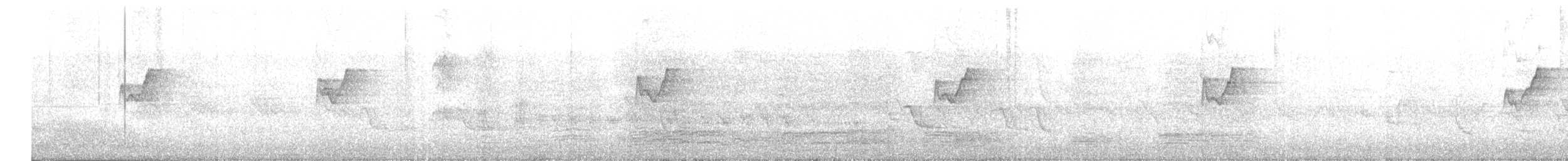 budníček altajský - ML646570019