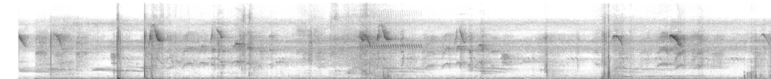 Jungle Babbler - ML646570062