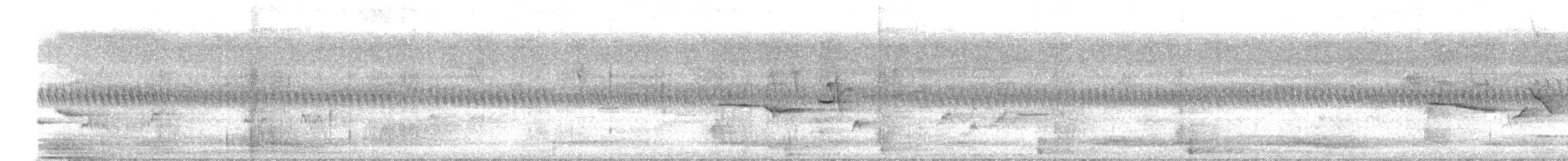 Oriental Magpie-Robin - ML646570182