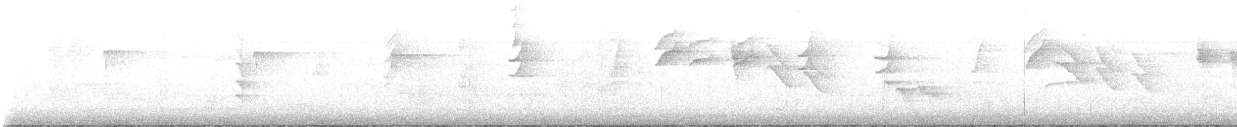 Scaly-breasted Hummingbird - ML646570374