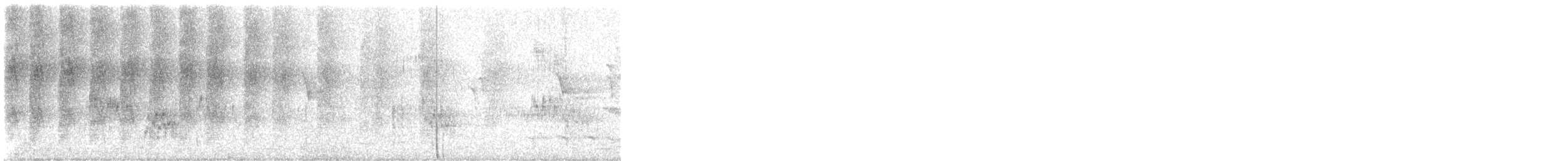 Budgerigar - ML646570463