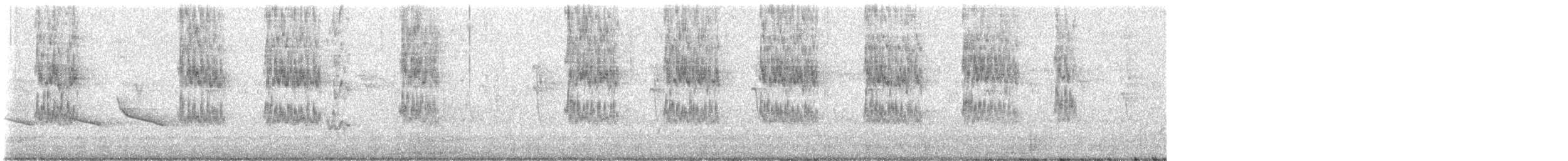 Budgerigar - ML646570464