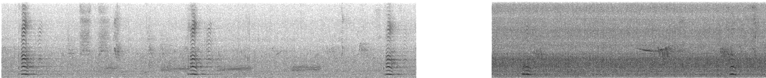 Red-knobbed Coot - ML646570586