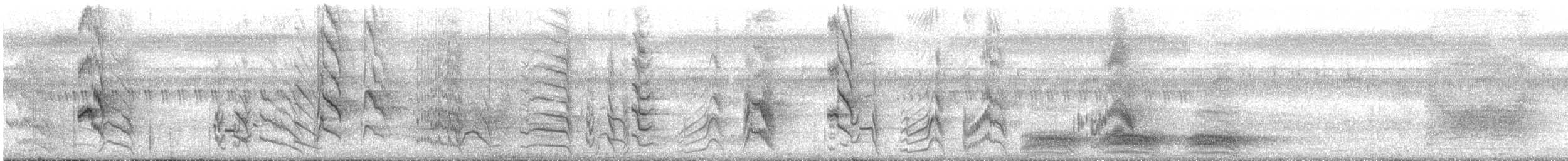 Cotorra de Kramer - ML646570597