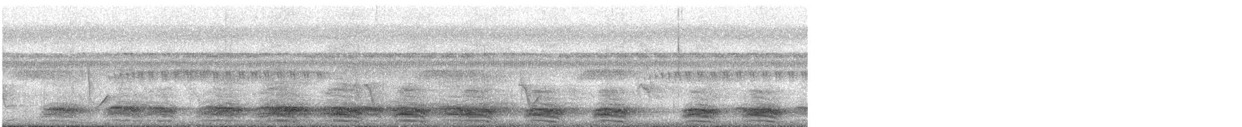 Cuervo Picudo - ML646570612