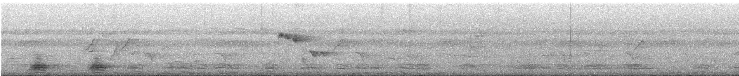 Cuervo Picudo - ML646570613