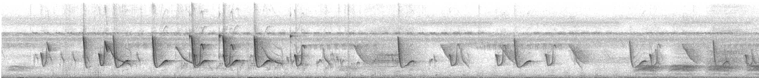 Sastrecillo Común - ML646570617