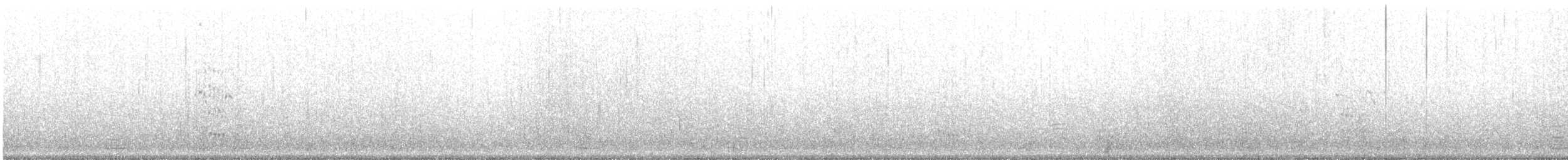 Royal Tern - ML646570782