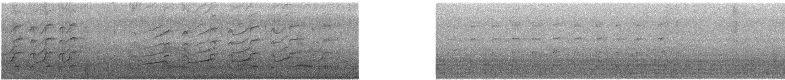 Blacksmith Lapwing - ML646570815