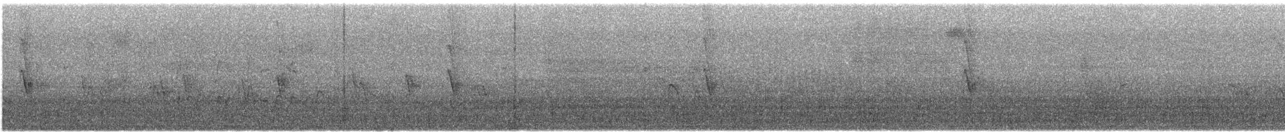 Passer sp. - ML646570819