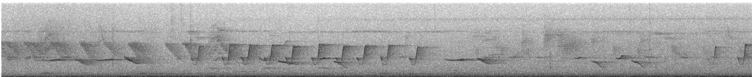 Common Iora - ML646570930