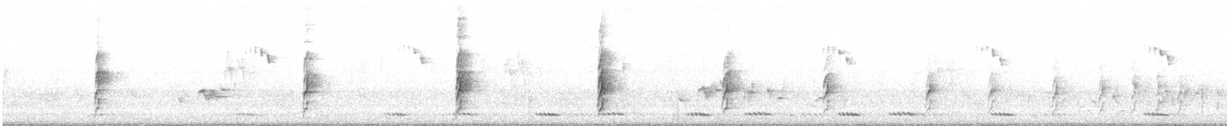 Sirkir Malkohası - ML646571090