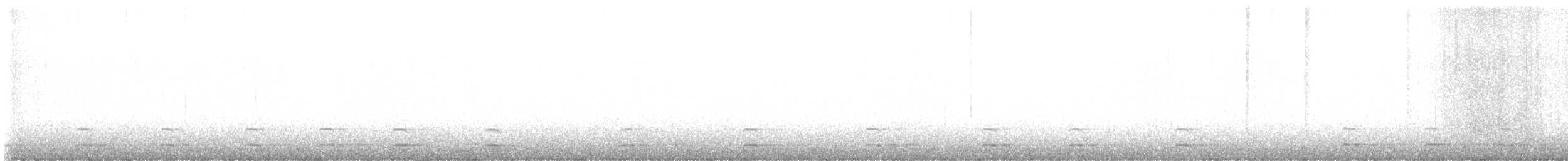 Североамериканский сыч - ML646571181