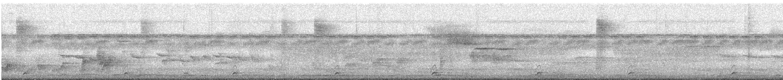 Coppersmith Barbet - ML646571195