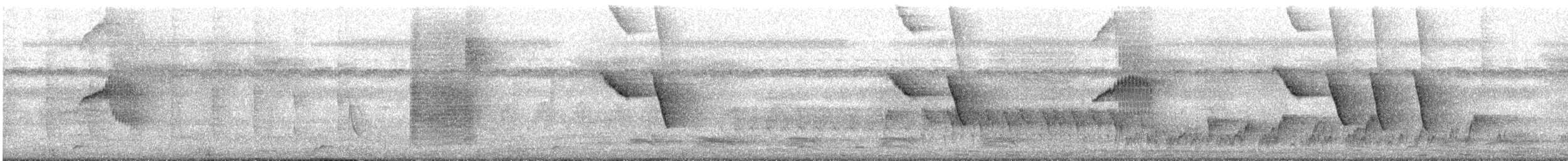 Oriental Magpie-Robin - ML646571199