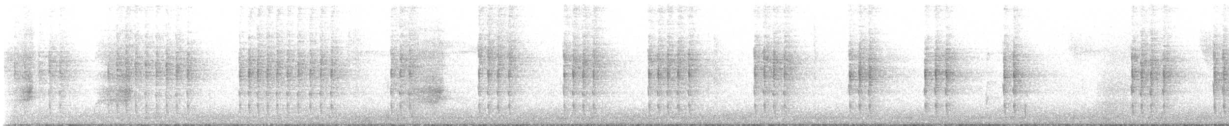 White-breasted Wood-Wren - ML646571203