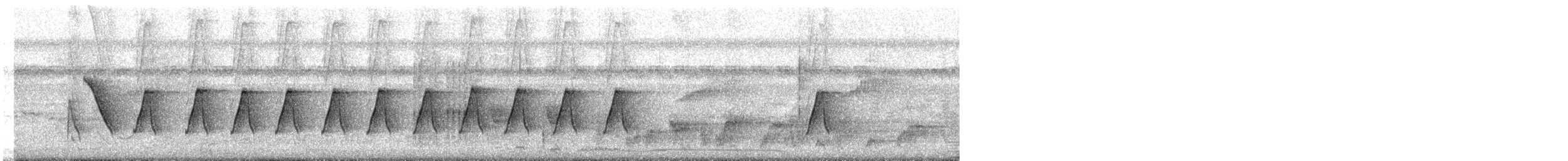 Common Tailorbird - ML646571214