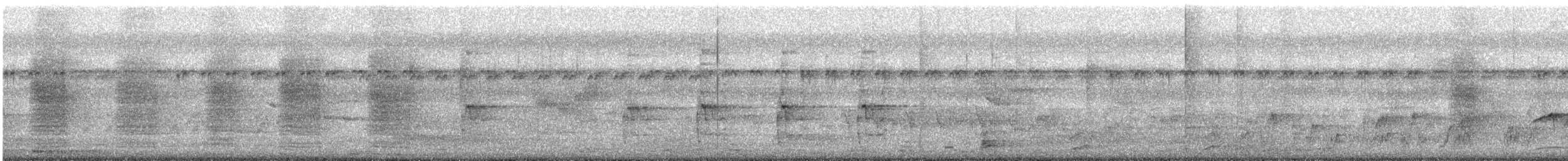 Ashy Drongo - ML646571228