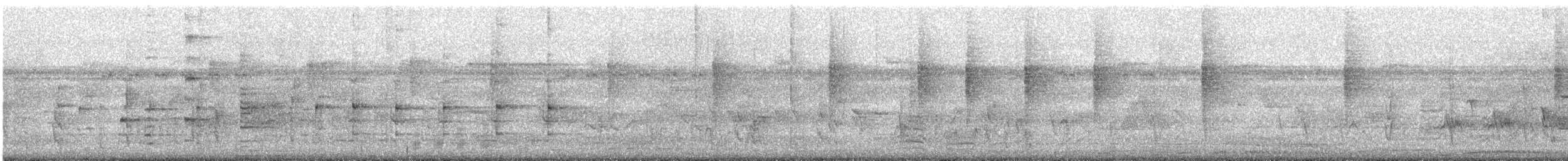 Hair-crested Drongo - ML646571236