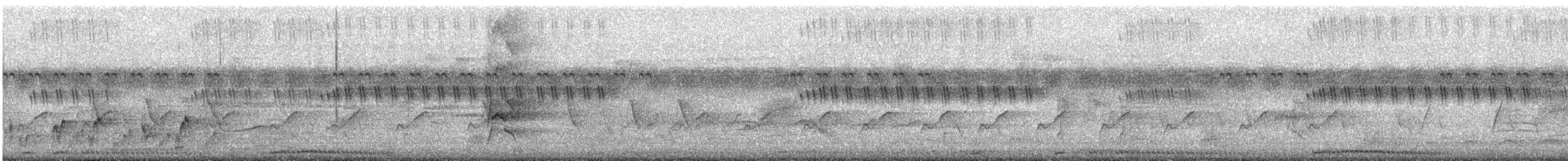 Spotted Dove - ML646571244