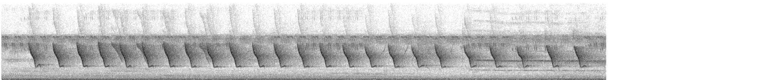 Common Tailorbird - ML646571260
