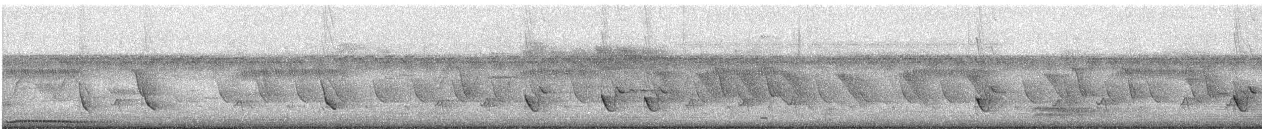 Common Tailorbird - ML646571262