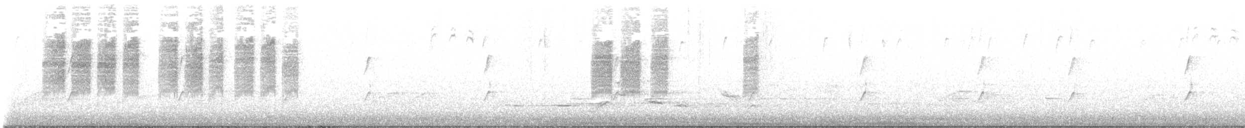 White-browed Scrubwren - ML646571451