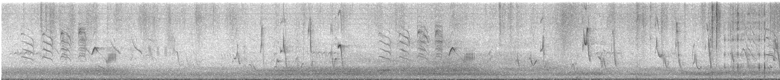 Rattling Cisticola - ML646571514