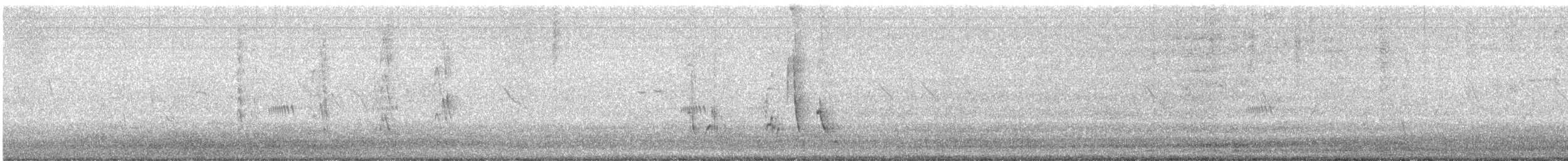 White-browed Sparrow-Weaver - ML646571571