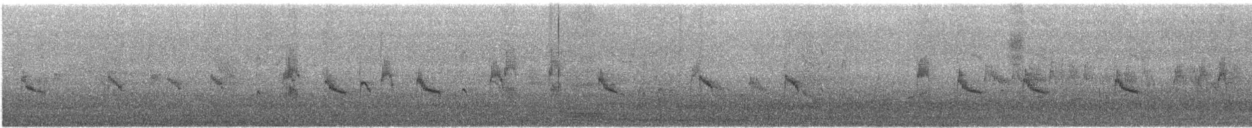 Cape White-eye - ML646571591