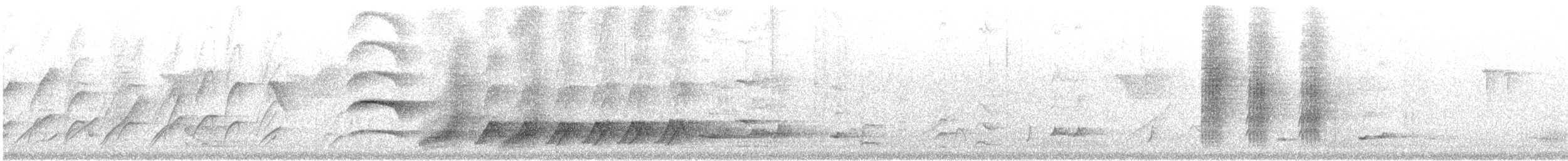 Greater Racket-tailed Drongo - ML646571604