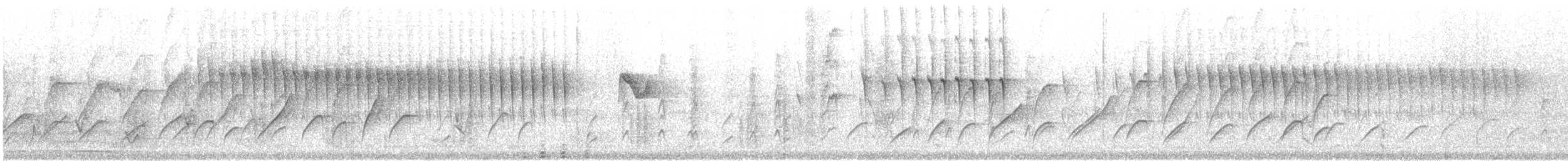 Yellow-billed Nuthatch - ML646571613