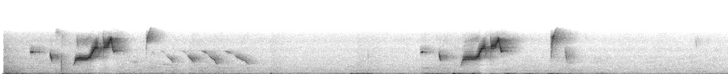 Eastern Bristlebird - ML646572207