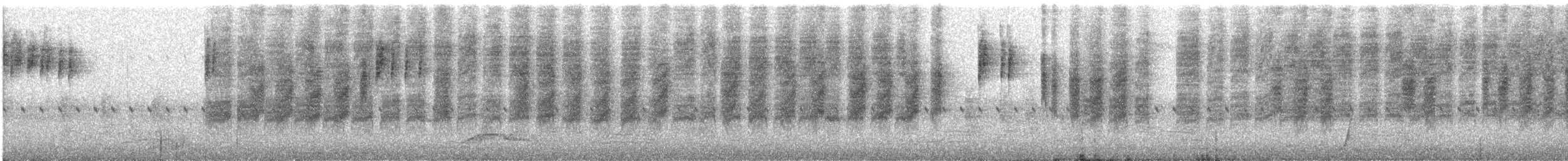 White-browed Scrubwren - ML646572288