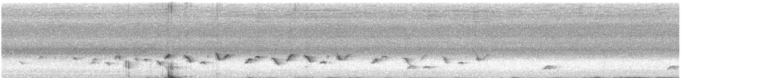 Fairy Gerygone - ML646572717