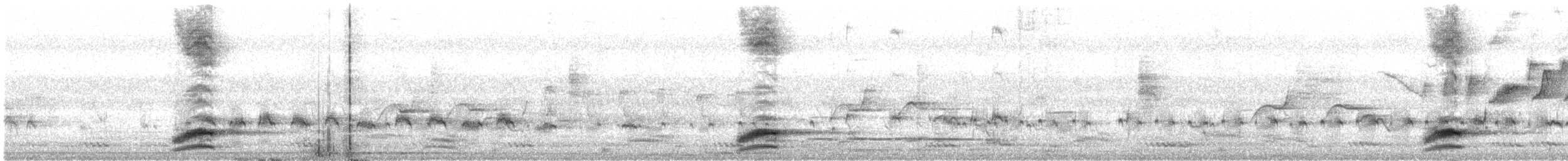 žluva černokápá - ML646572732