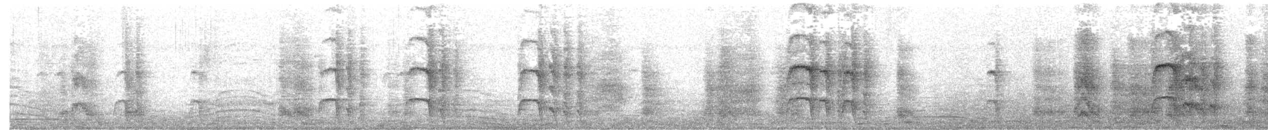 Jungle Babbler - ML646572969