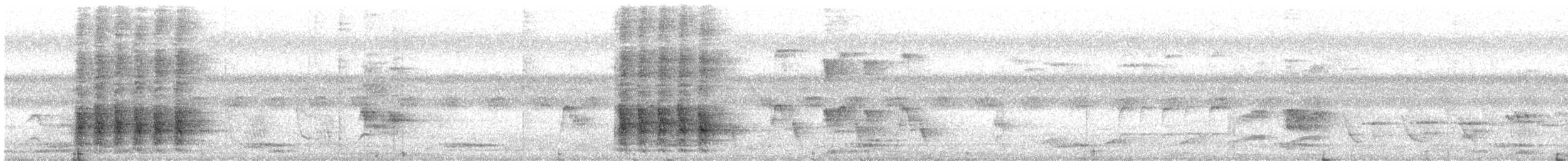 straka toulavá - ML646573257