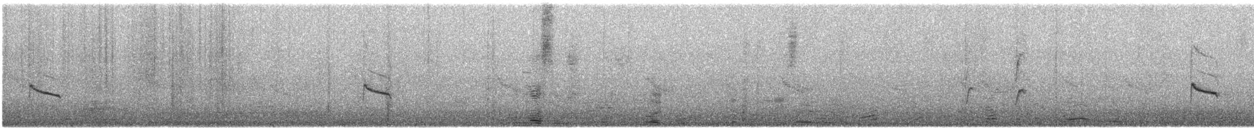 Anteojitos de El Cabo - ML646573263