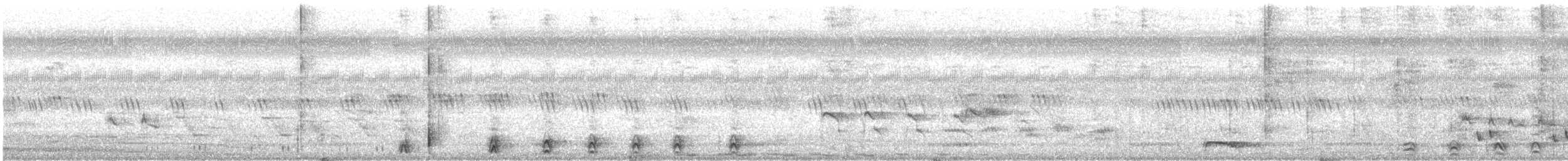 Malabar Gray Hornbill - ML646573299