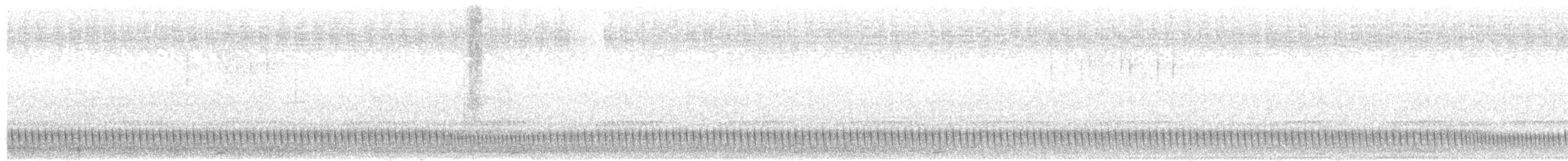 Succiacapre - ML646573325