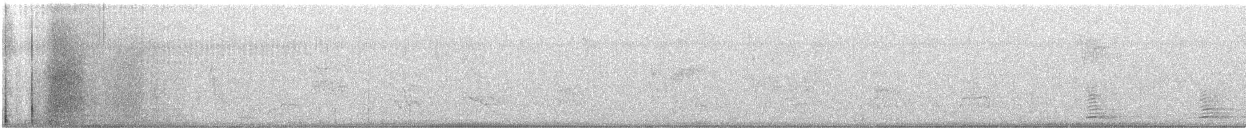 American Herring Gull - ML646573419