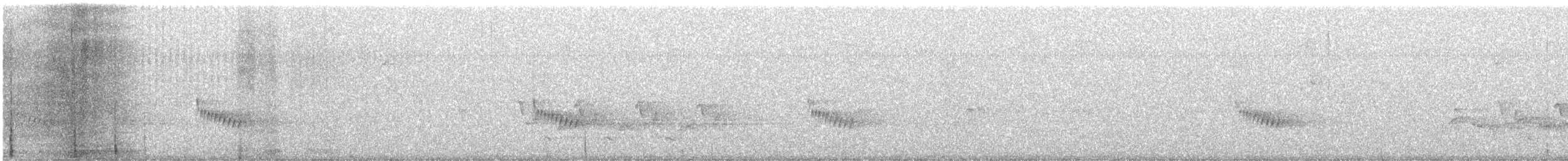 Carolina Wren - ML646573470