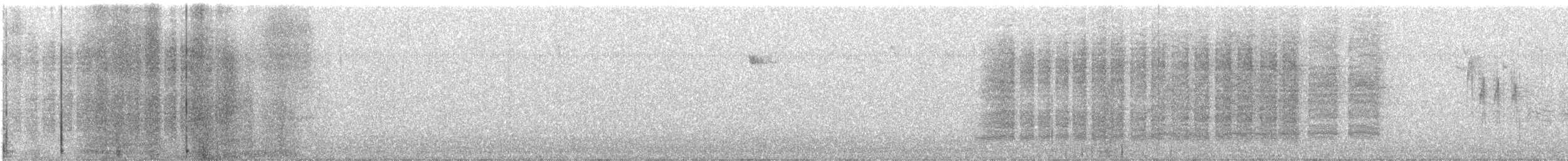 Carolina Wren - ML646573472